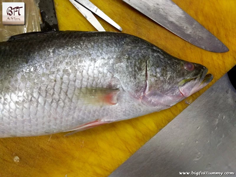 Preparation of Sea Bass Fillet Rava Fried