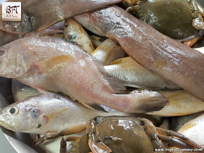 Making of Fresh Catch Curry