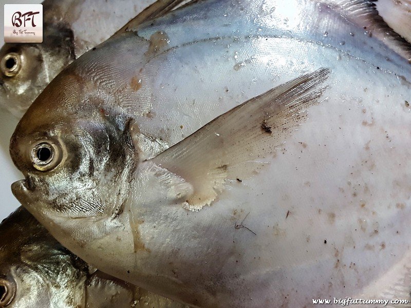 Preparation of Pomfret in a Creamy Coconut Sauce