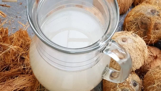 Homemade Sur / Coconut Toddy