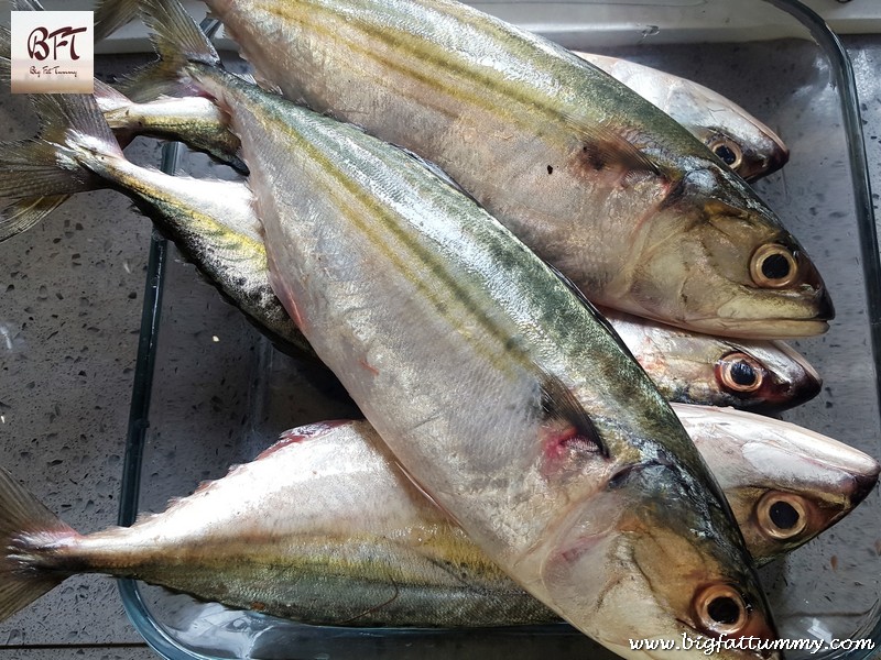 Preparation of Bangda (Mackerel) Steaks