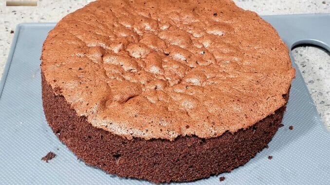 Chocolate Sponge Cake